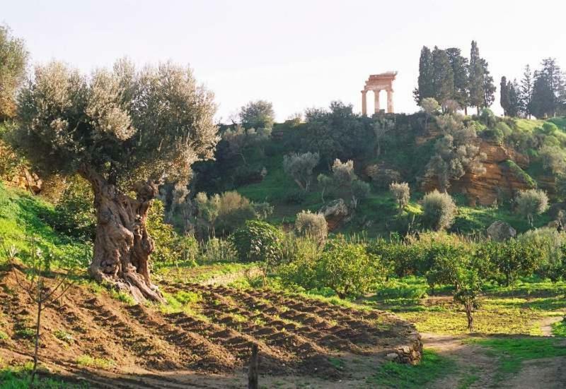 Dimora Dei Greci Apartment Agrigento Bagian luar foto